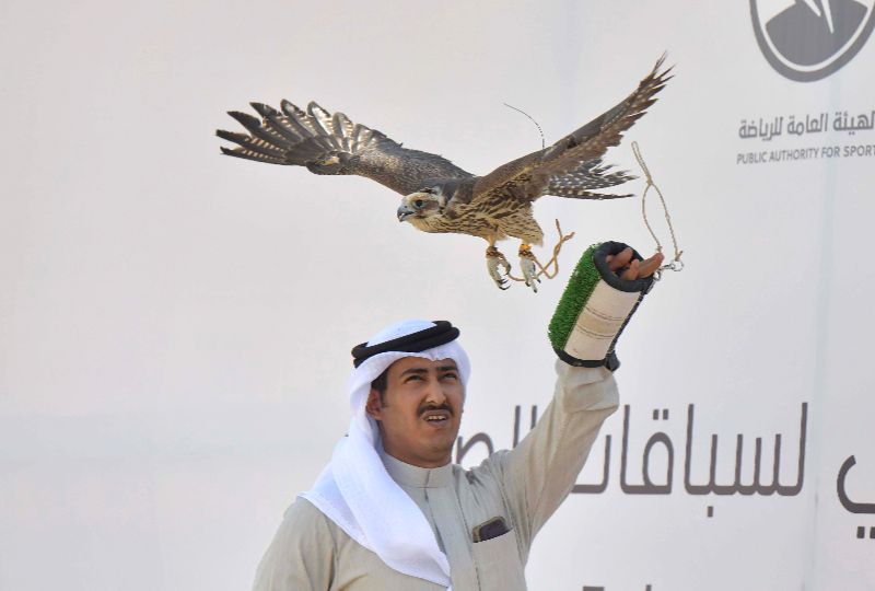 Kuwait host first UAE World Falcon Racing Cup